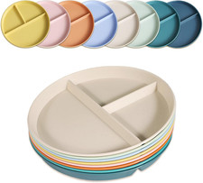 Divided Plates for Adults (8