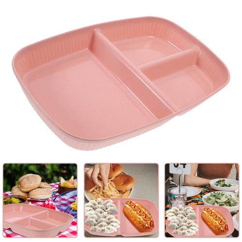 Divided food plate portion - food,